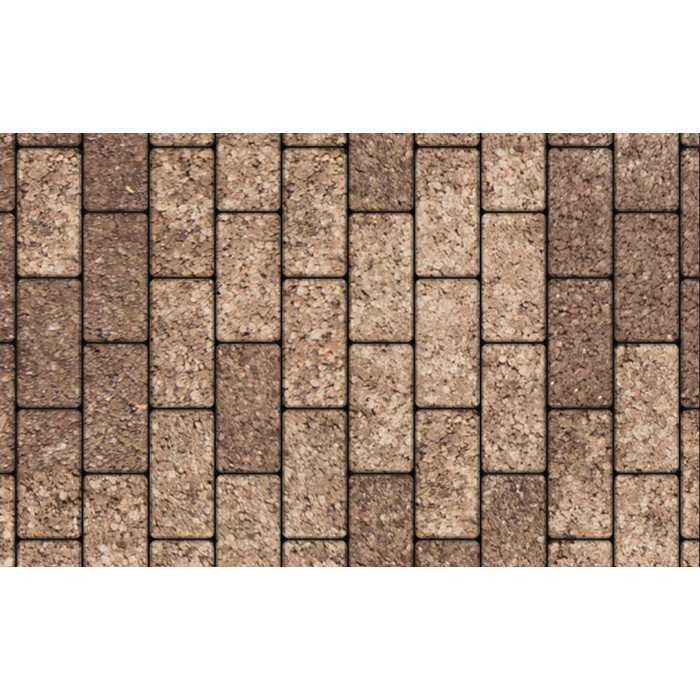 Плитка тротуарная Прямоугольник (Ла-Линия) А.2.П.4 Листопад гранит xаски 200x100x40 мм